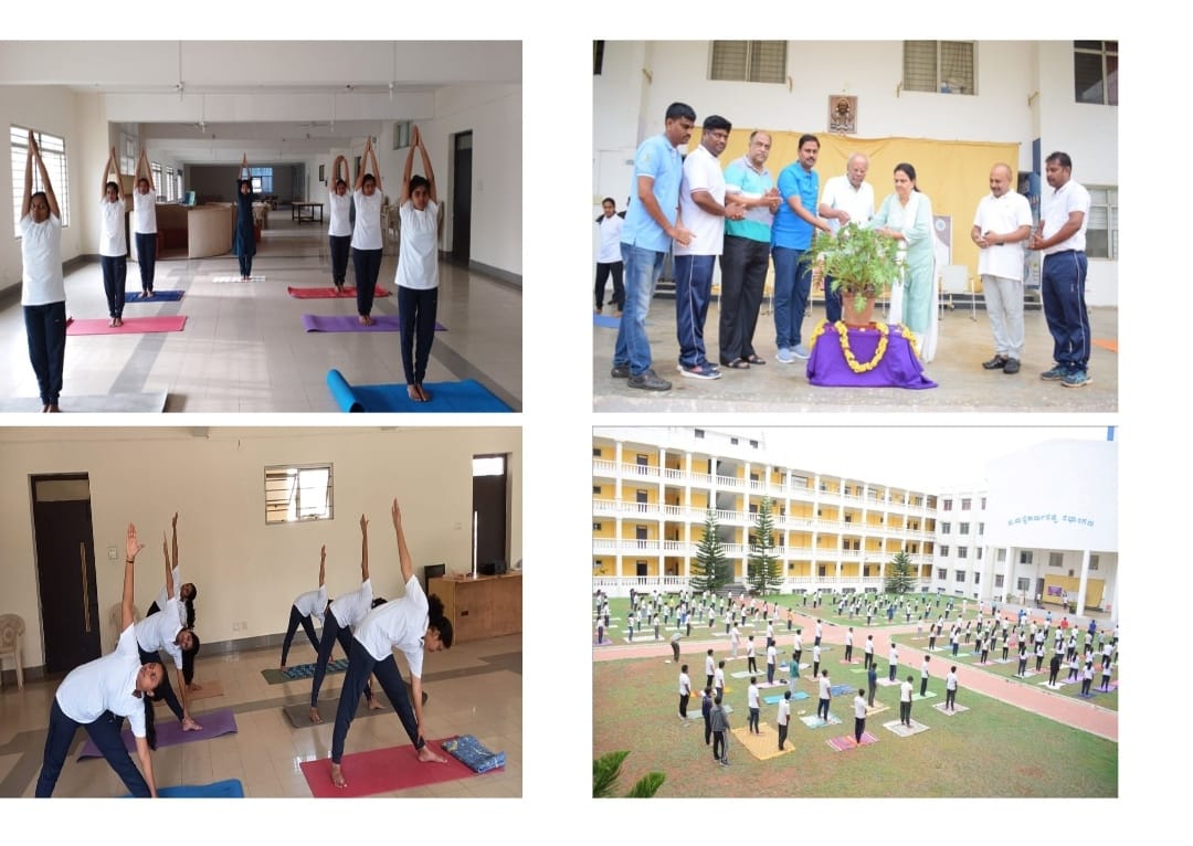 Social Impact Projects